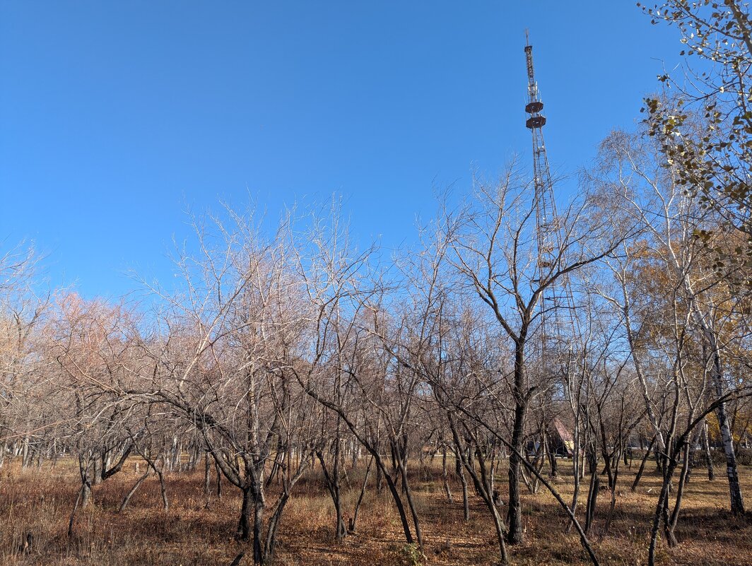 Октябрь в Караганде - Андрей Хлопонин