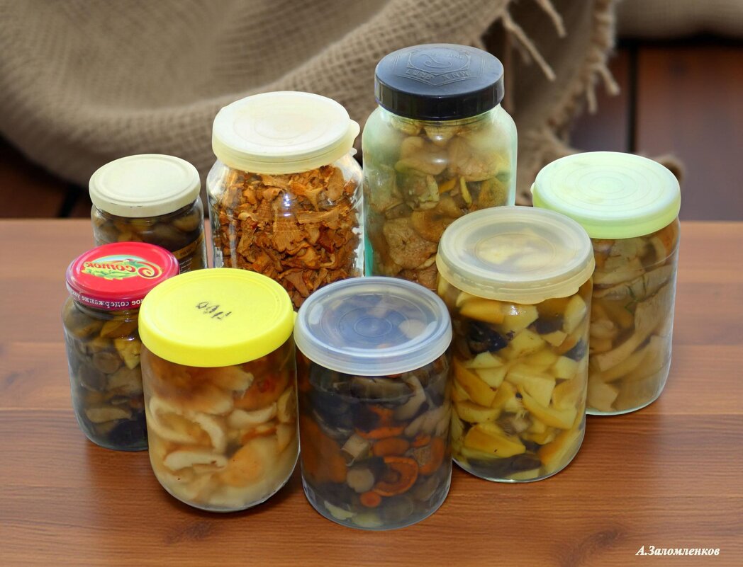 С Международным днём консервации! :-) - Андрей Заломленков