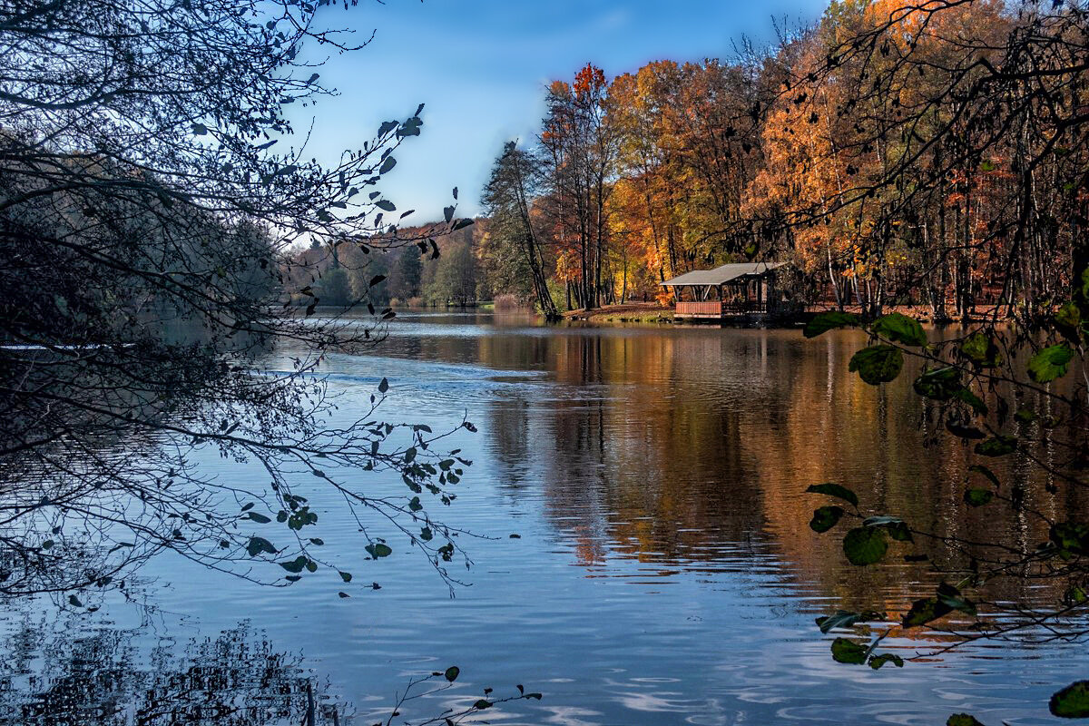 ----------- - igor G.