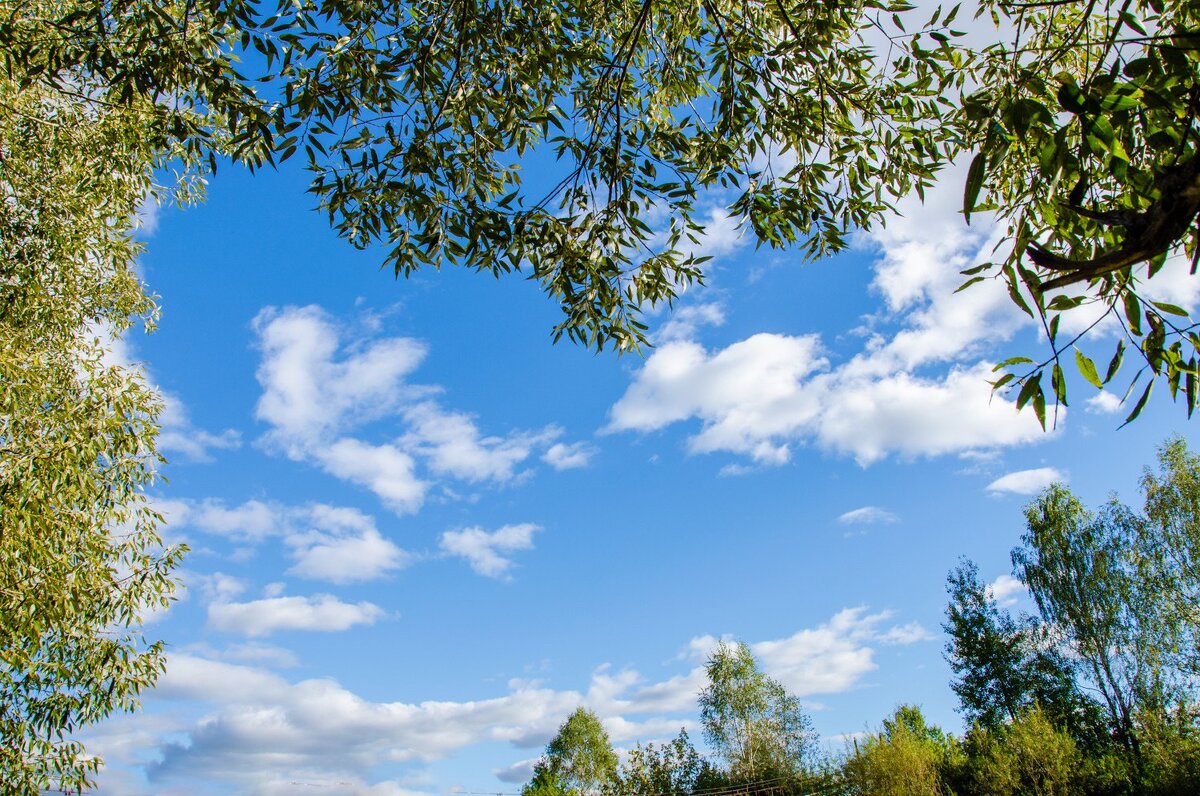 Небо - Галина Ложечникова