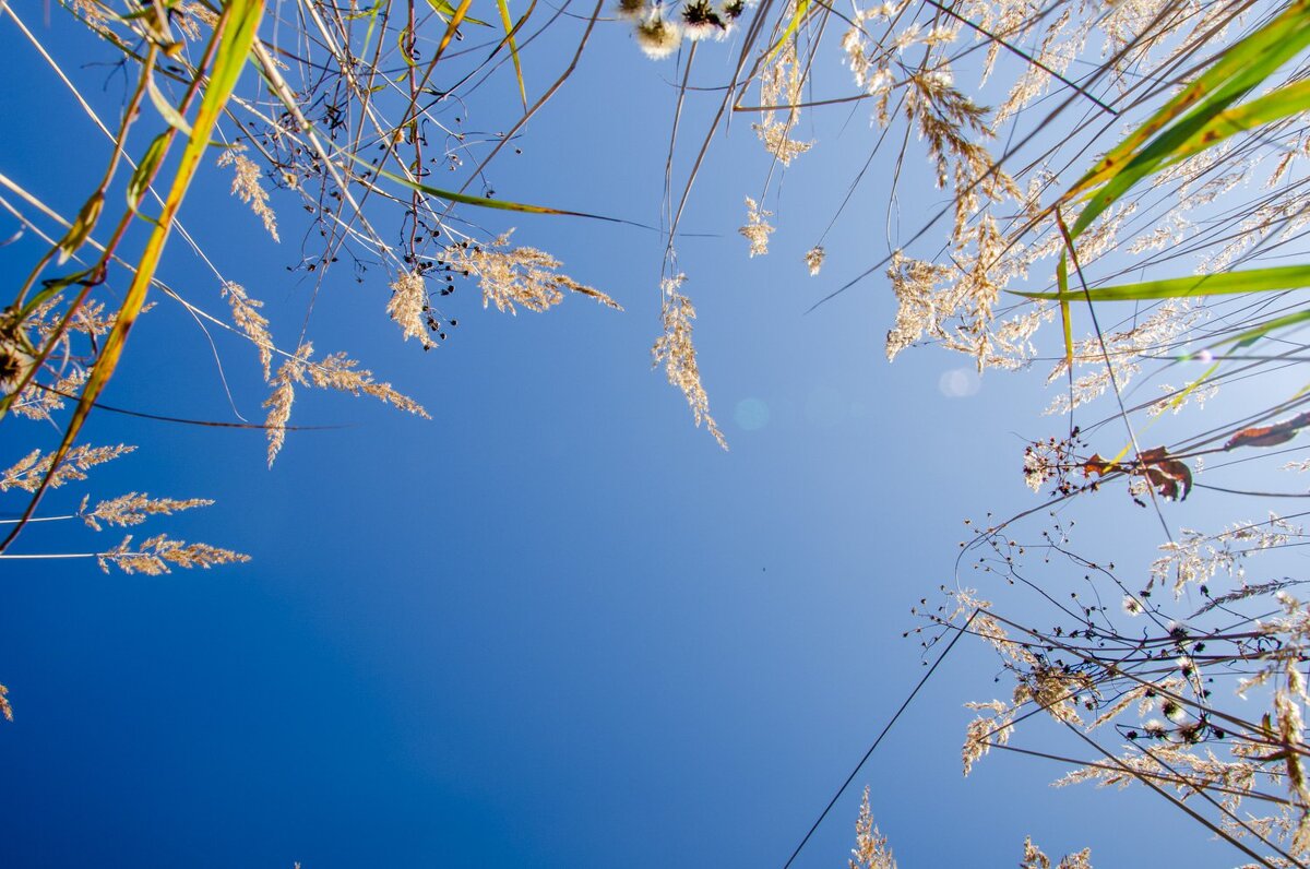 Небо - Галина Ложечникова