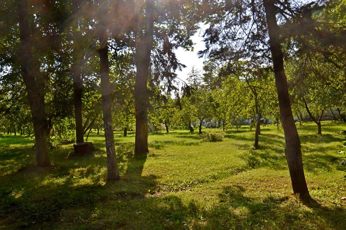 ПСКОВ. - Виктор Осипчук