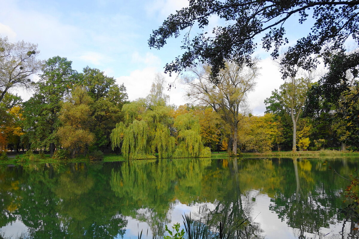 Октябрь - Рита Симонова