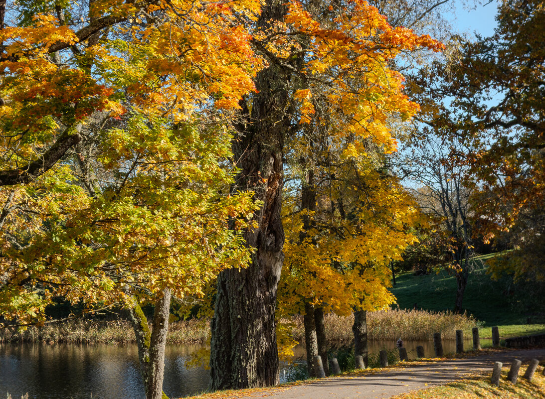 *** - Геннадий Порохов