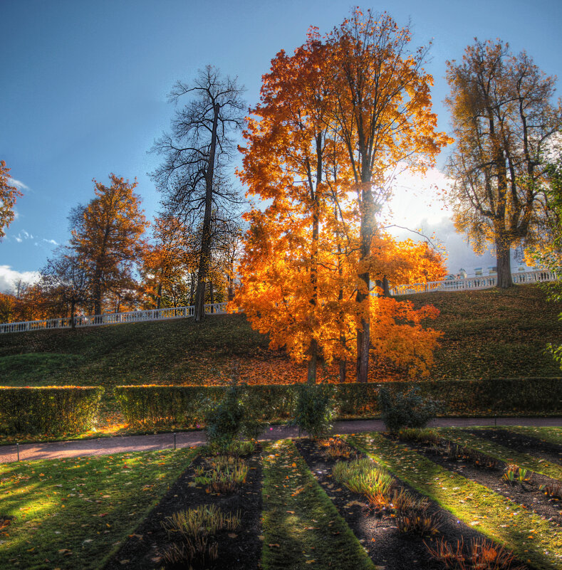 *** - Сергей Григорьев