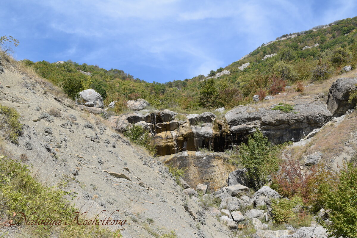 Природа Крыма - Amazing Cosmea