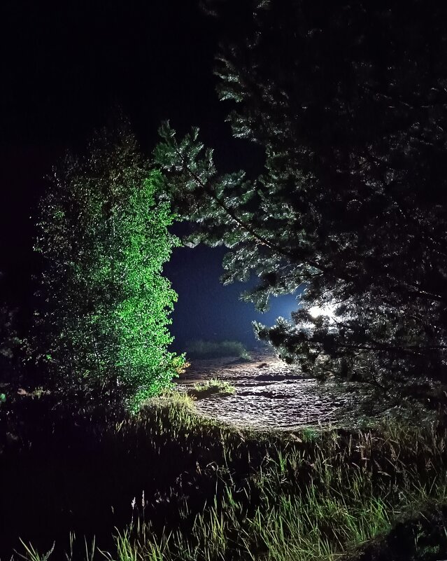 Случайный свет фар... - Ирина *