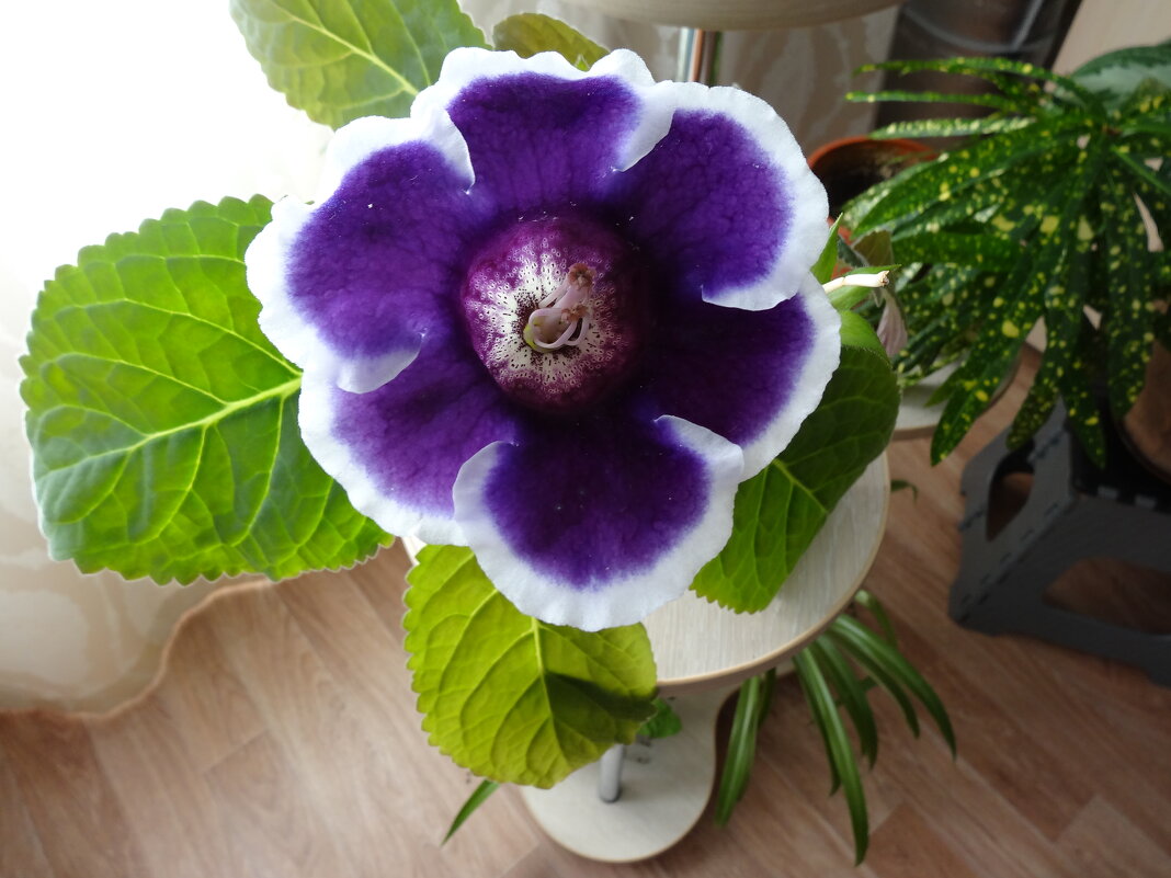 *** - СЕРГЕЙ ФИЛОЧКИН