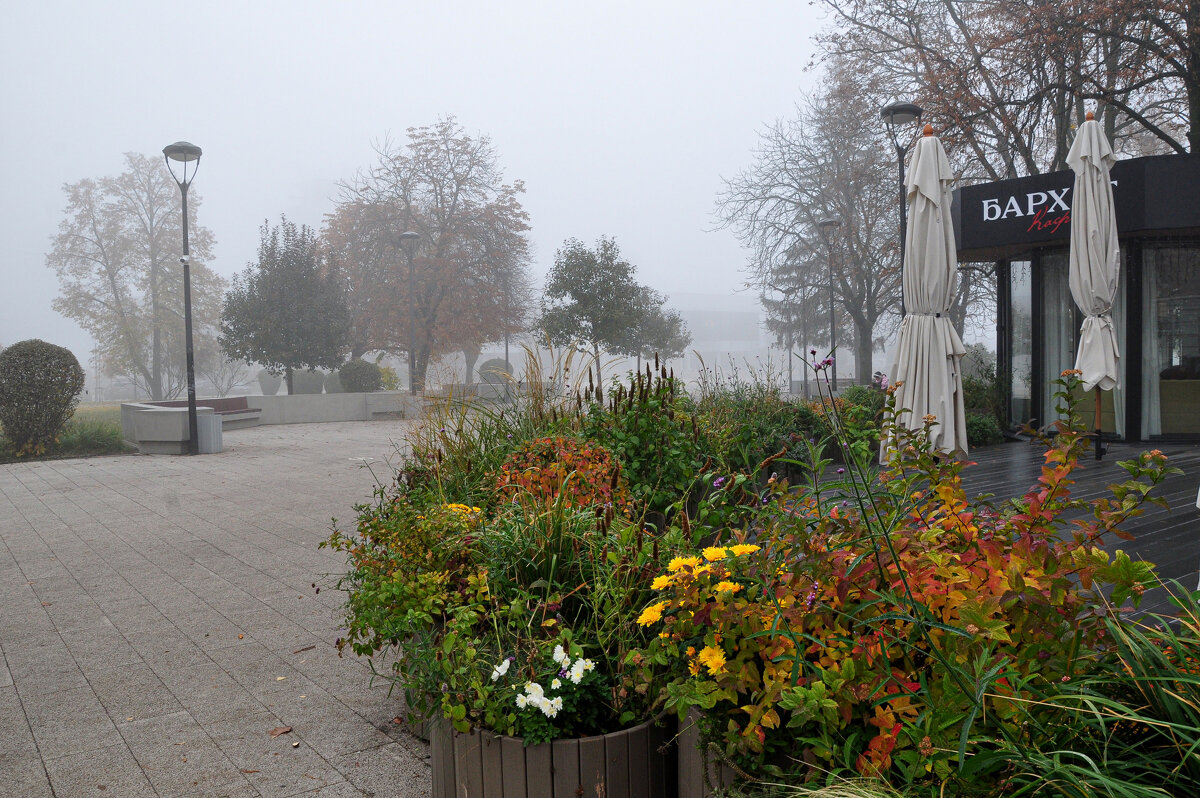 Осенние туманы - Татьяна Машошина Осенние туманы - Татьяна Машошина