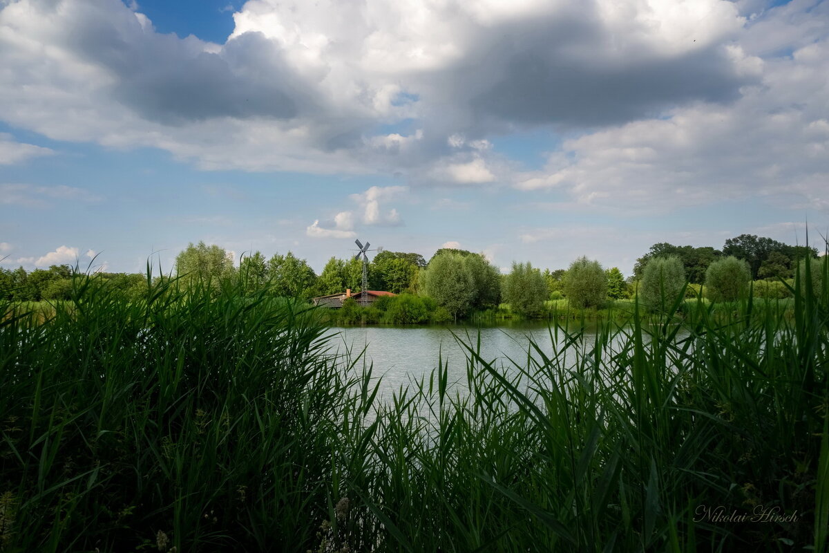 Через тростник... - Николай Гирш Через тростник... - Николай Гирш