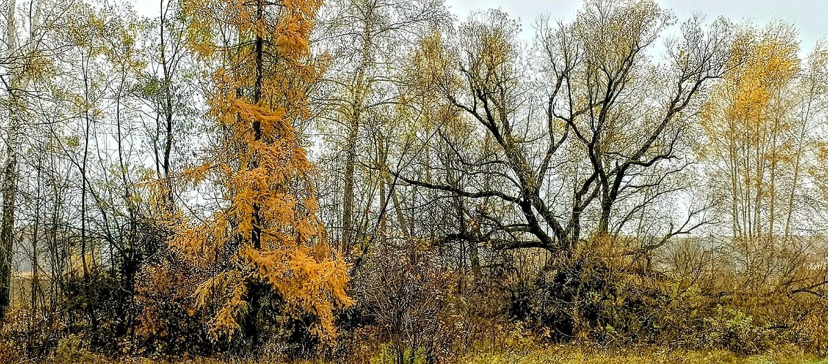 Октябрь - Михаил Столяров