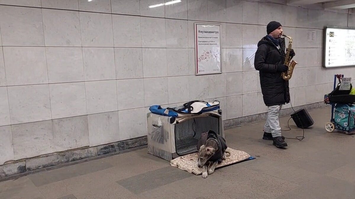 Эх, нелёгкая это работа - Ирэн 