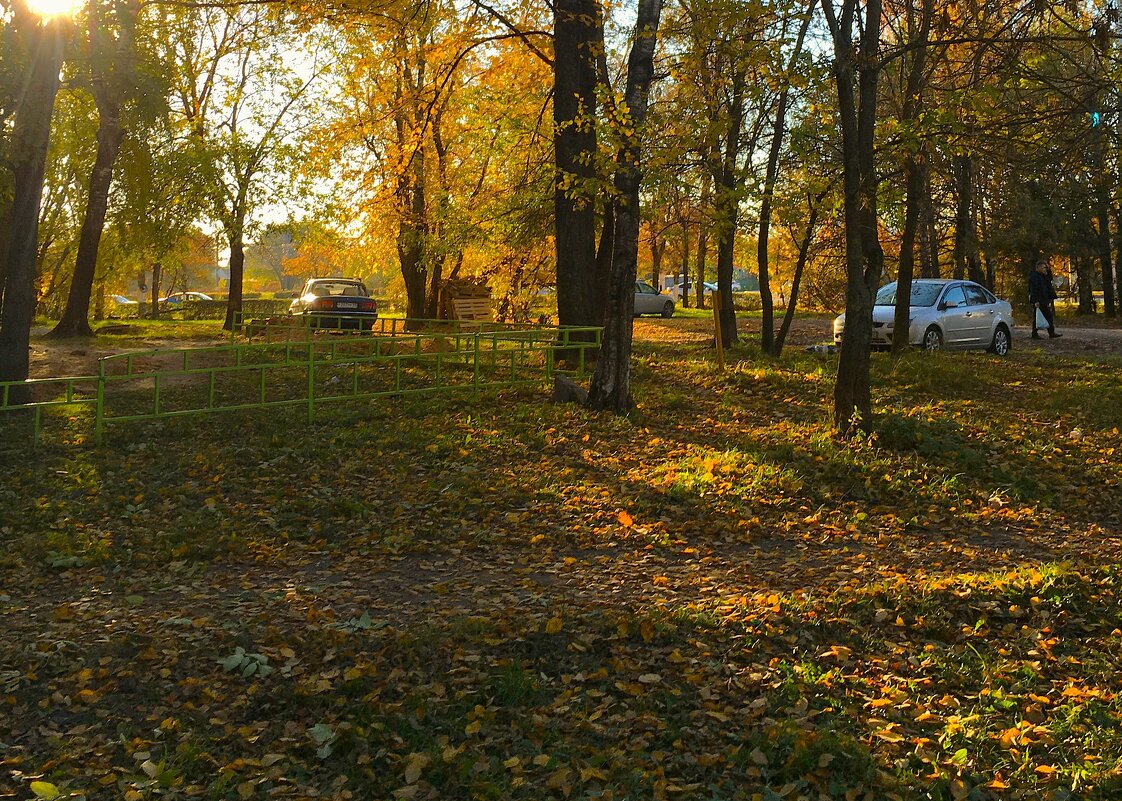 В парке на Речном. - Olga Oskolkova