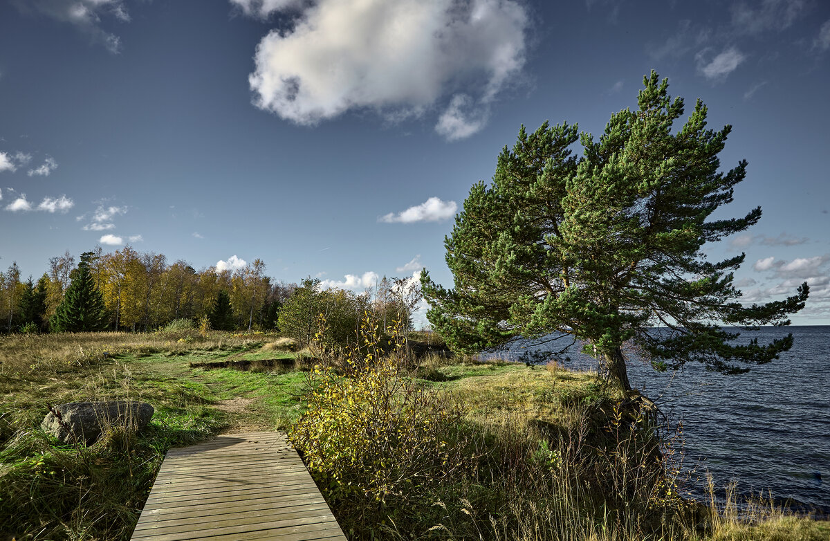 Tallinn, Fotograaf Arkadi Baranov, FEP, Estonia - Аркадий  Баранов Arkadi Baranov