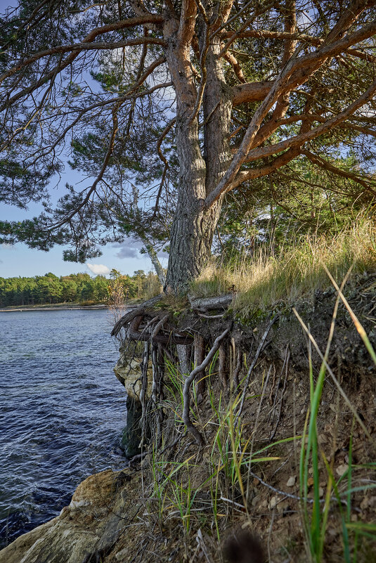Tallinn, Fotograaf Arkadi Baranov, FEP, Estonia - Аркадий  Баранов Arkadi Baranov