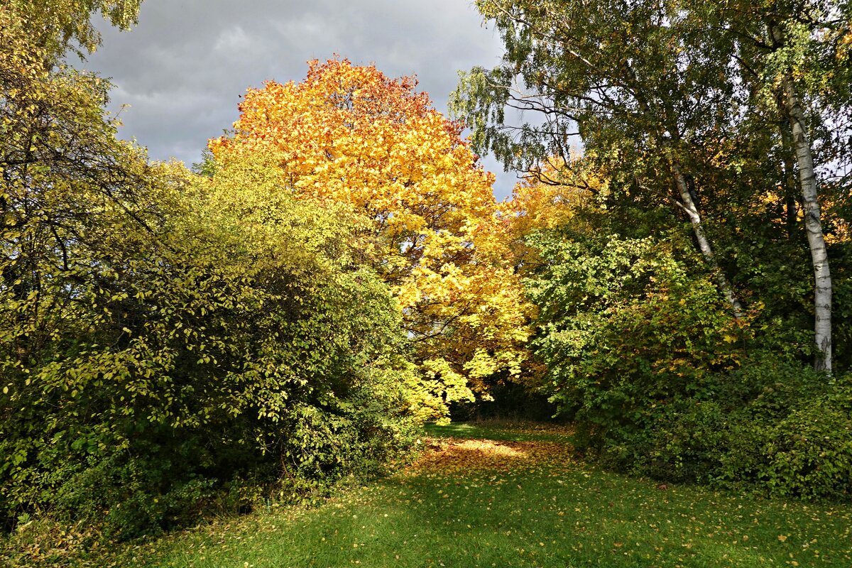 Ещё не вся листва с деревьев облетела, Ещё горят костры осенние на ниx.... - Галина Ещё не вся листва с деревьев облетела, Ещё горят костры осенние на ниx.... - Галина