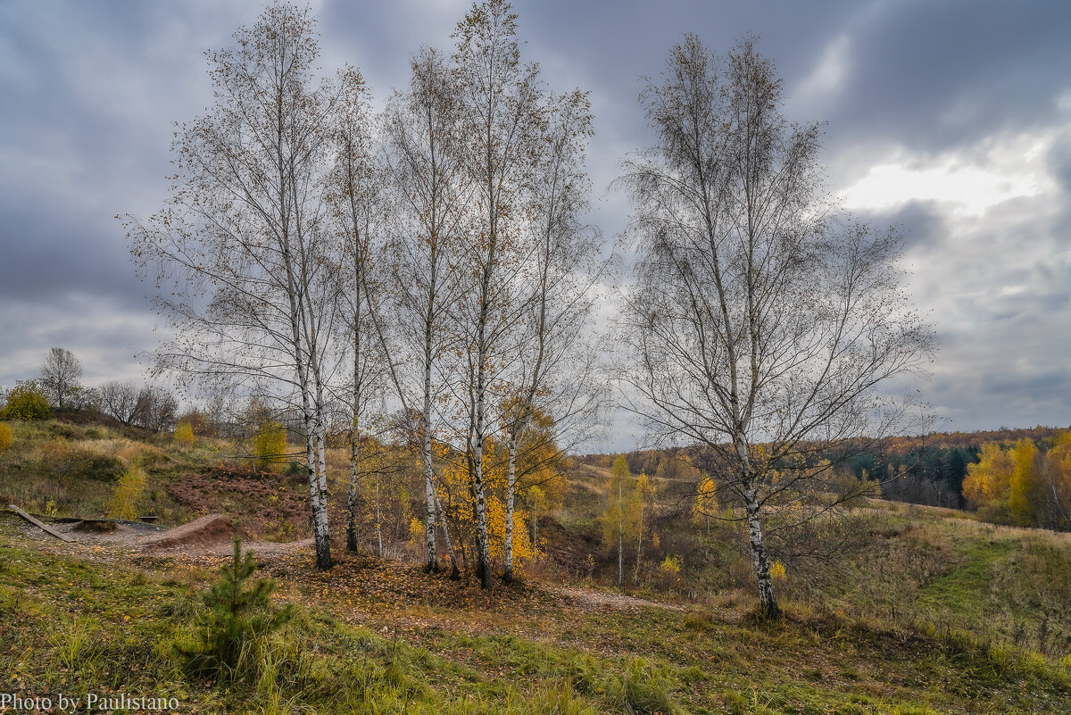 Под небом октября... - Владимир Жданов