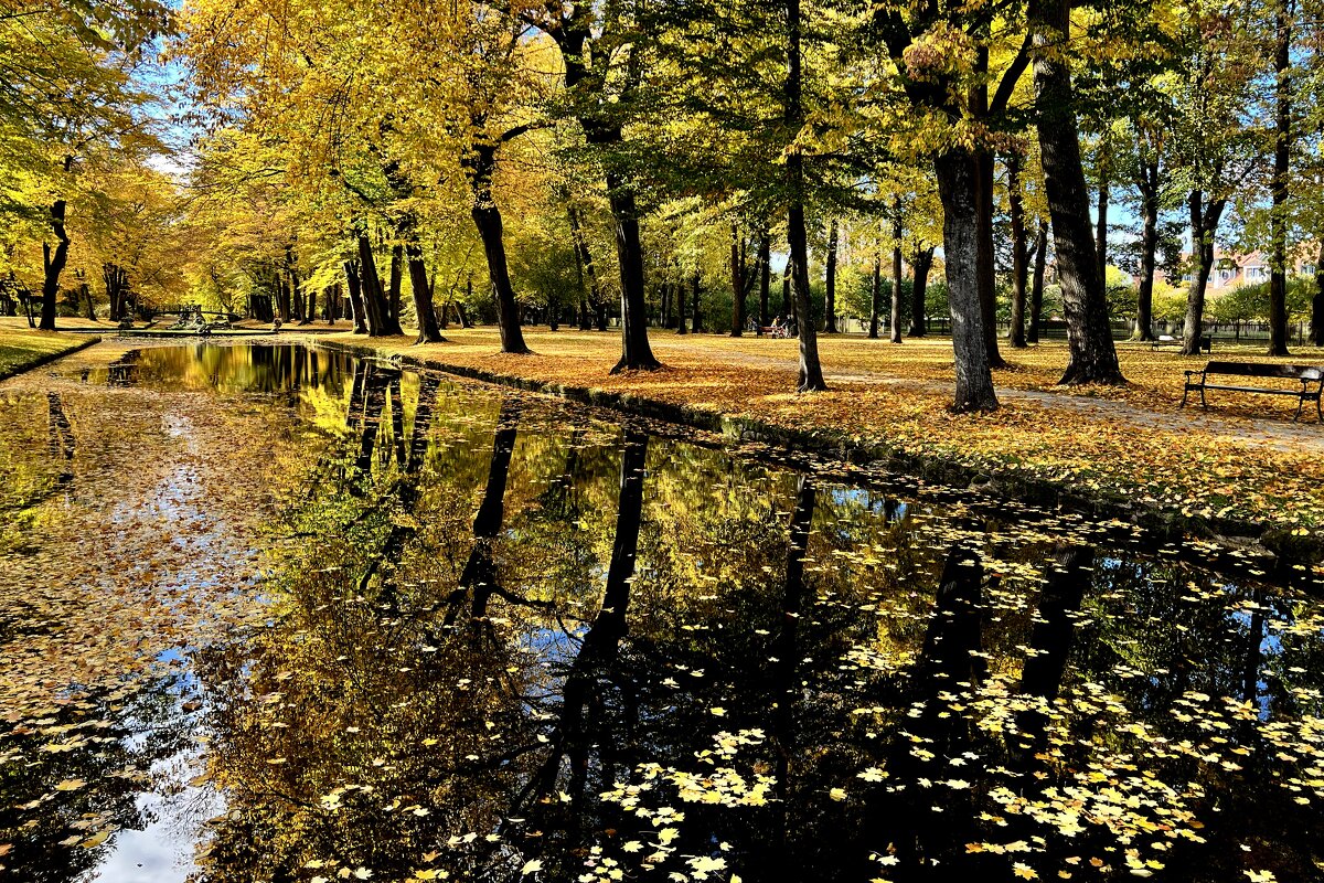 Но осень шла куда-то молча, Легко ступая, чуть шурша, - "The Natural World" Александер