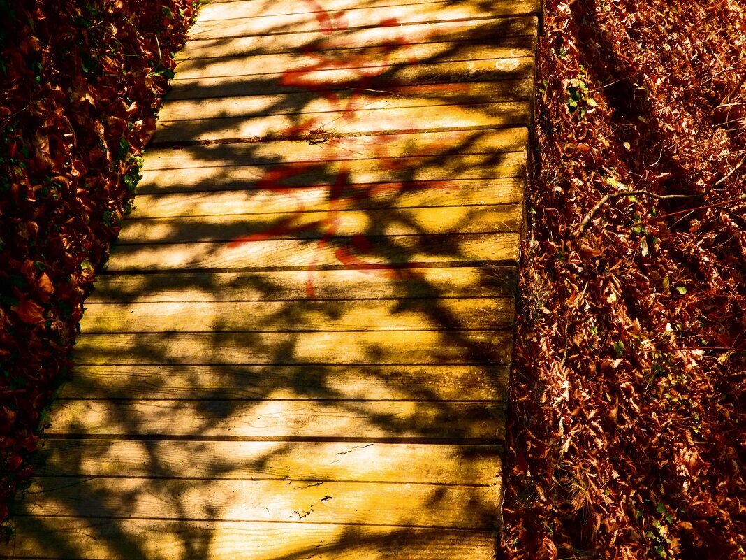 Осень 20 - Алексей Кузнецов