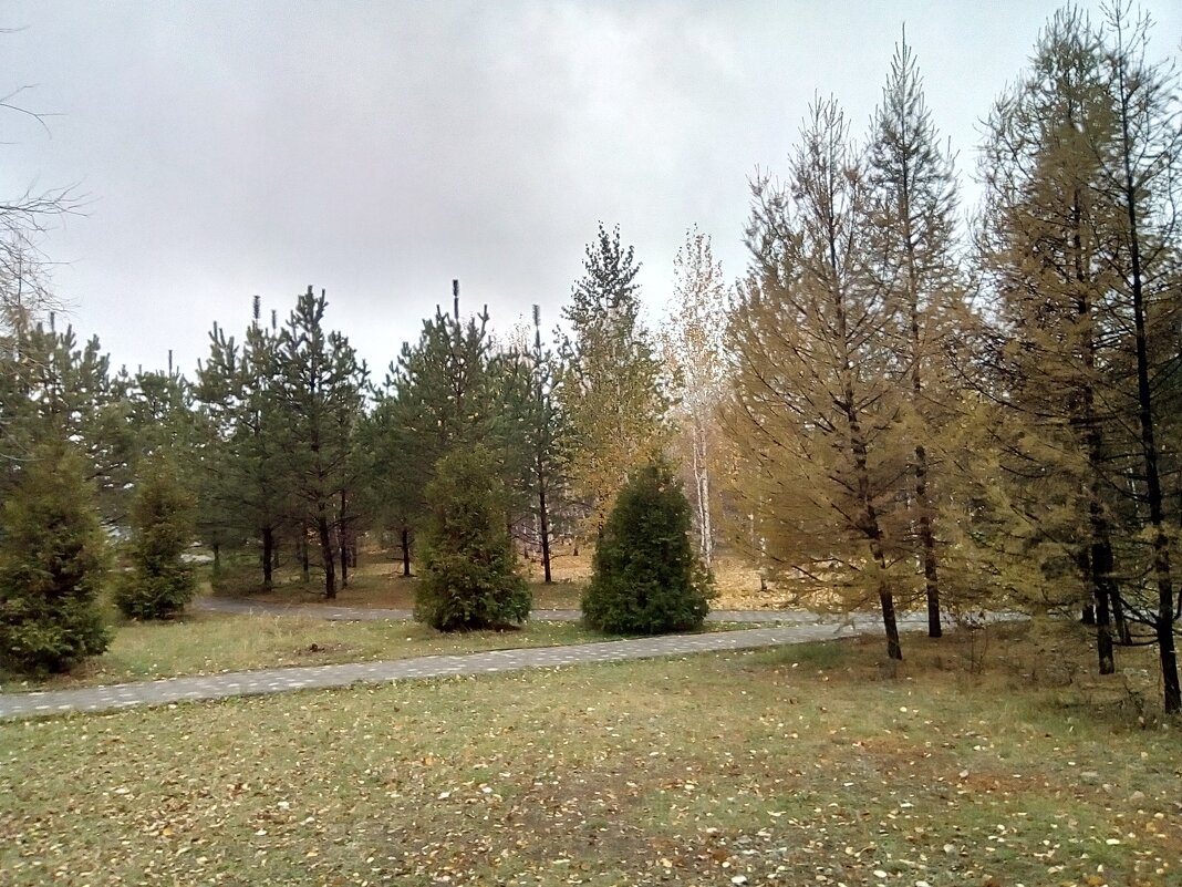 Парк городка - Георгиевич 