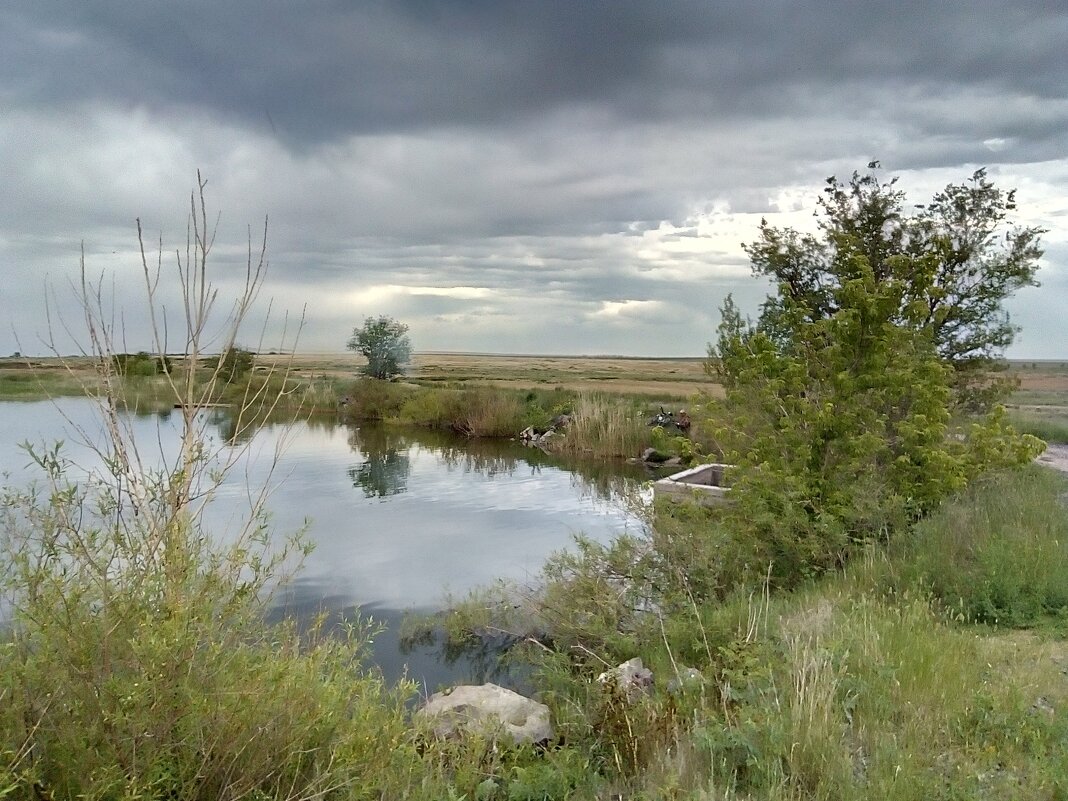 Озёрная гладь - Георгиевич 