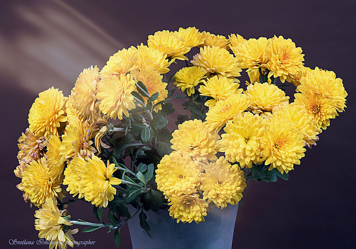 ... - Светлана Ищенко