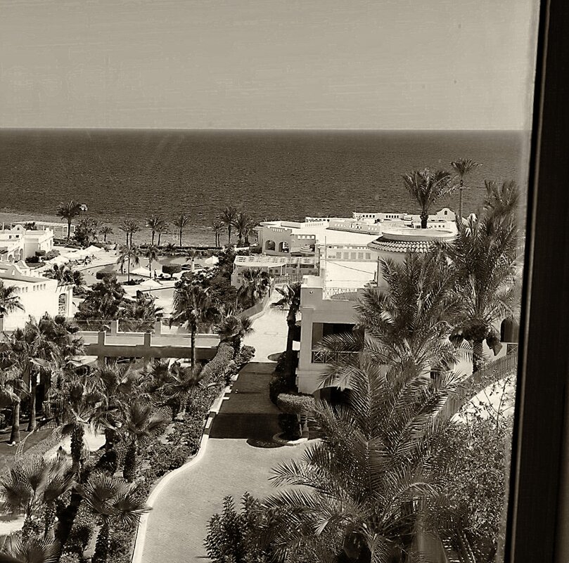 ЧБ Египет - Роман Савоцкий