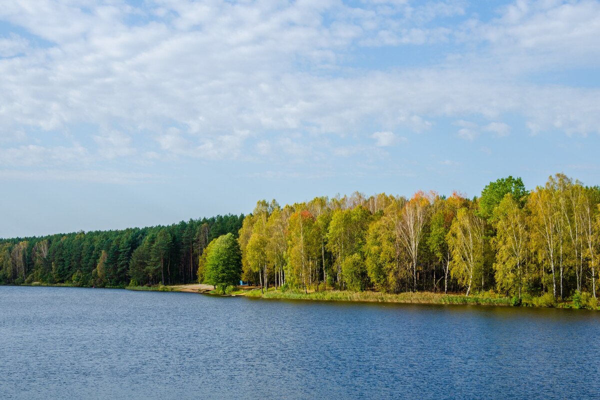 Дубровское озеро - Галина Ложечникова