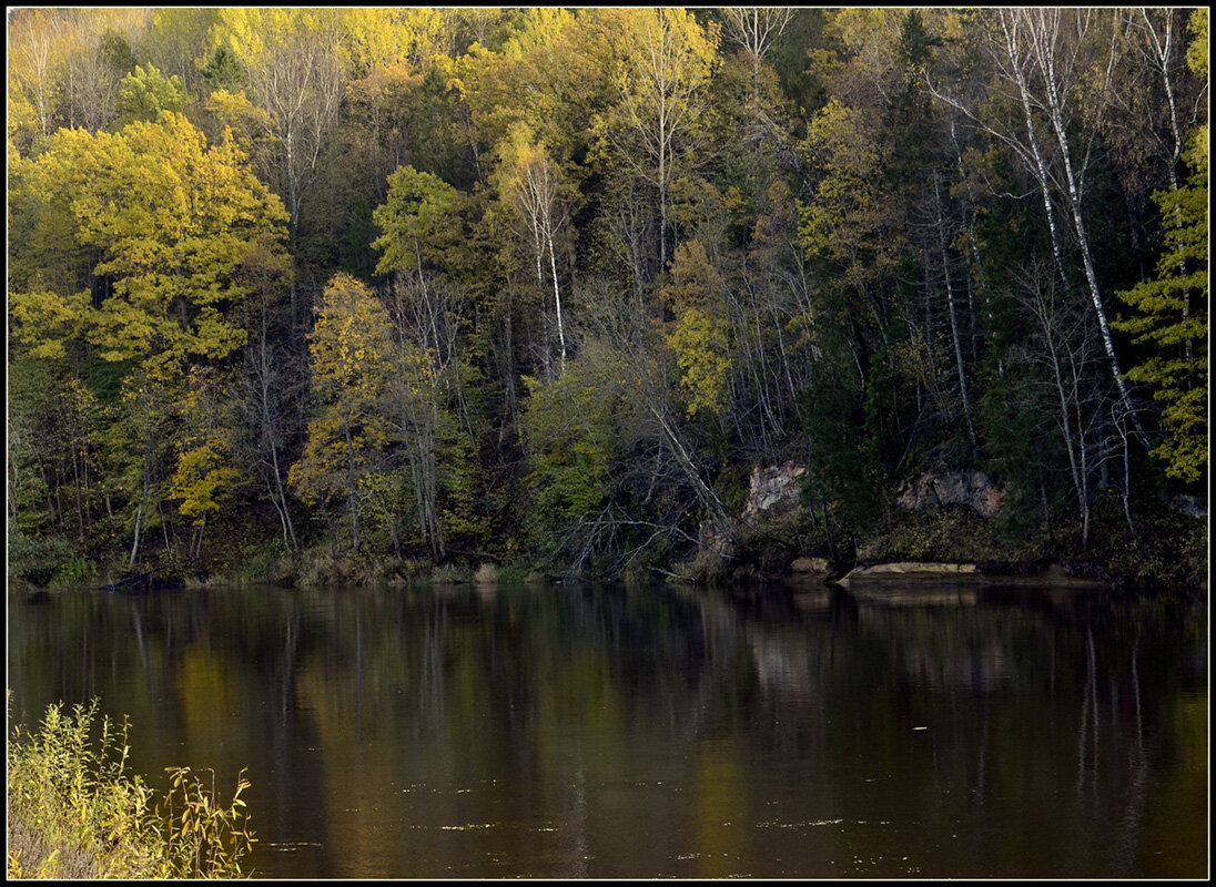 *** - Aleksandr Gal *** - Aleksandr Gal