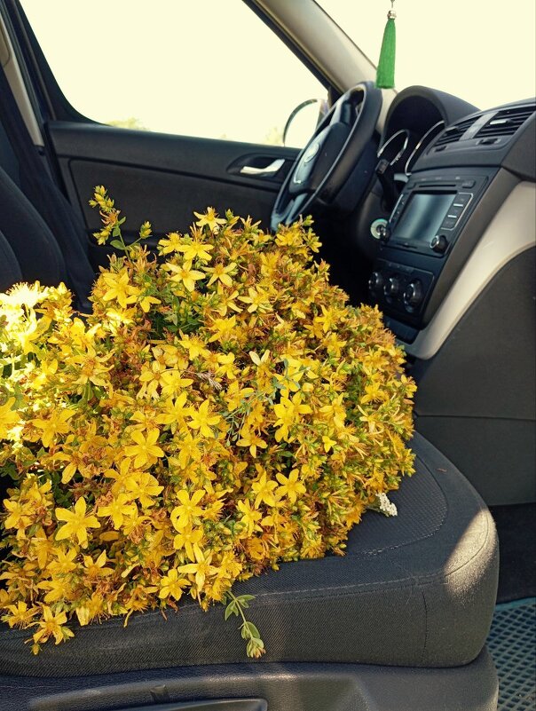 Лето - Гульфина Булатова