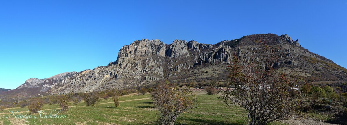 Природа Крыма - Amazing Cosmea