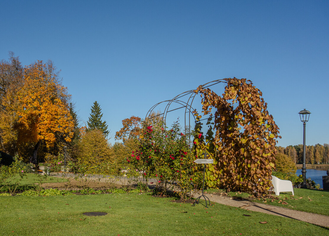 Бирини. - Геннадий Порохов