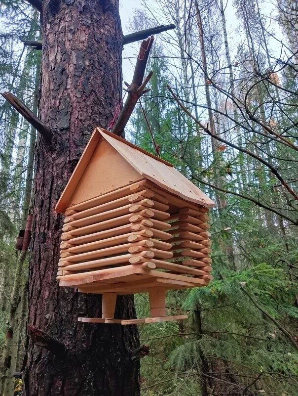 Коттедж для белочки - Виктор 