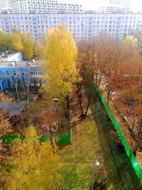 Городской пейзаж - Ольга Довженко