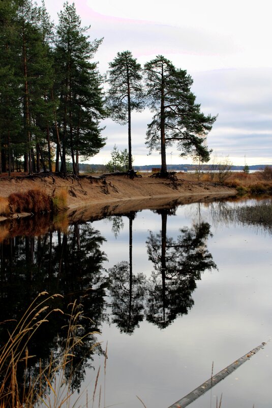 Карелия - Мария 