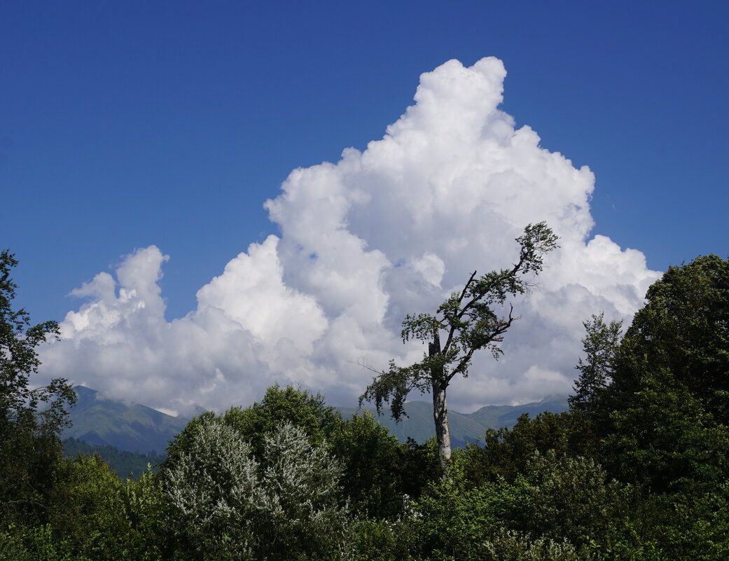 Облачная вершина - Наталия Григорьева