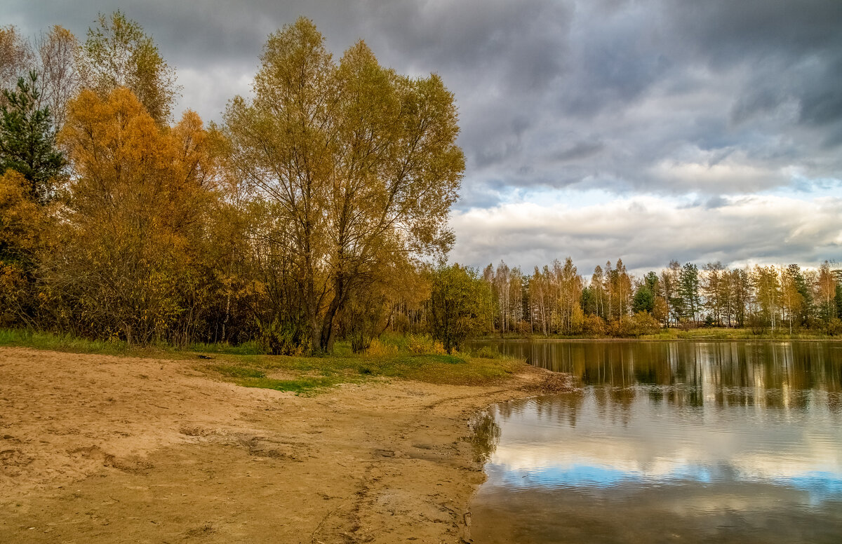 И снова Осень 9 - Андрей Дворников