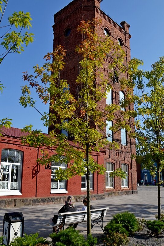 ПЕЧОРЫ. - Виктор Осипчук