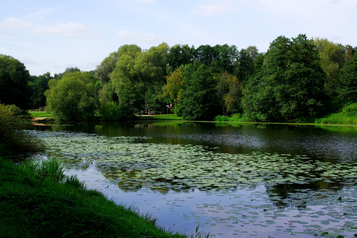 Нижний Кузьминский пруд - Игорь Белоногов
