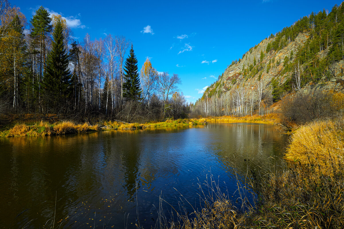 Полдень солнечного октября. - Юрий кот