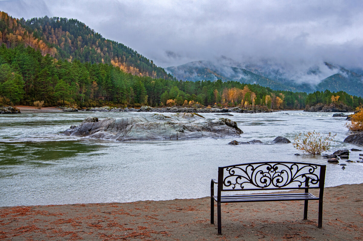 ****** - Алексей Мезенцев