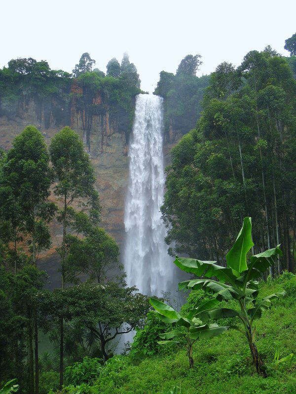 Один из трёх водопадов Сипи, Уганда. - unix (Илья Утропов) Один из трёх водопадов Сипи, Уганда. - unix (Илья Утропов)