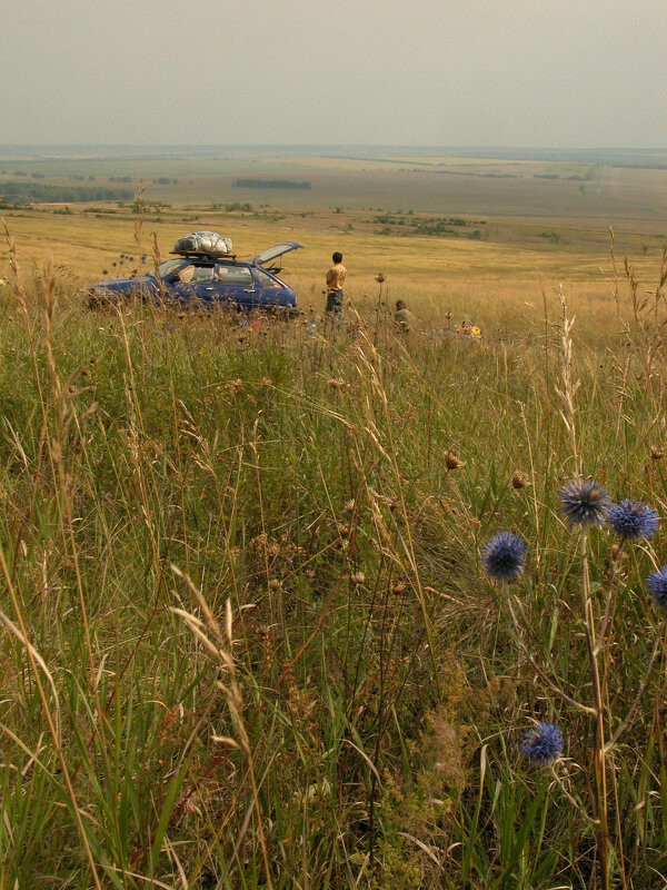 Далеко от дома... - Наталья Лунева Далеко от дома... - Наталья Лунева