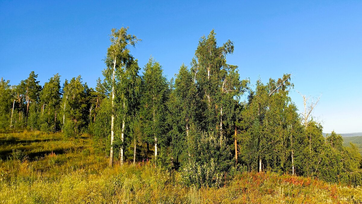 На всём улыбка, жизнь во всём - Hope 