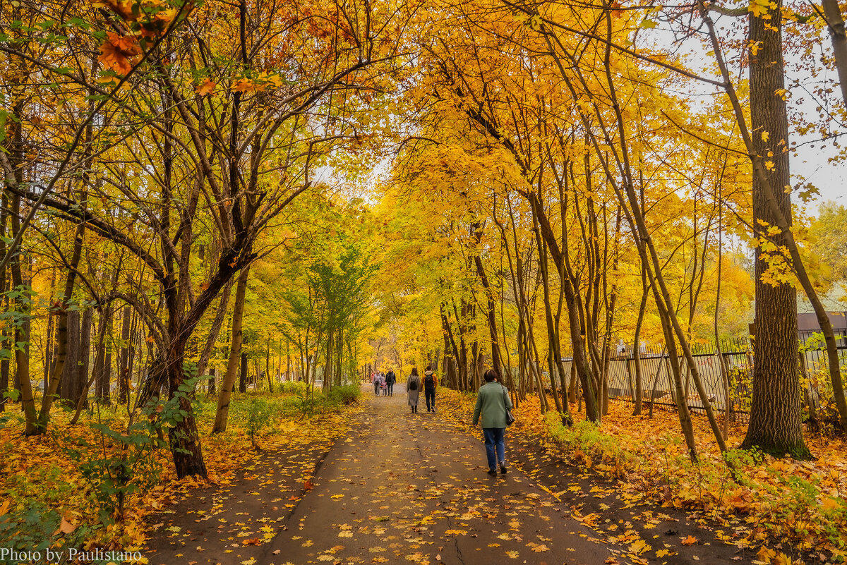 В осеннем парке... - Владимир Жданов