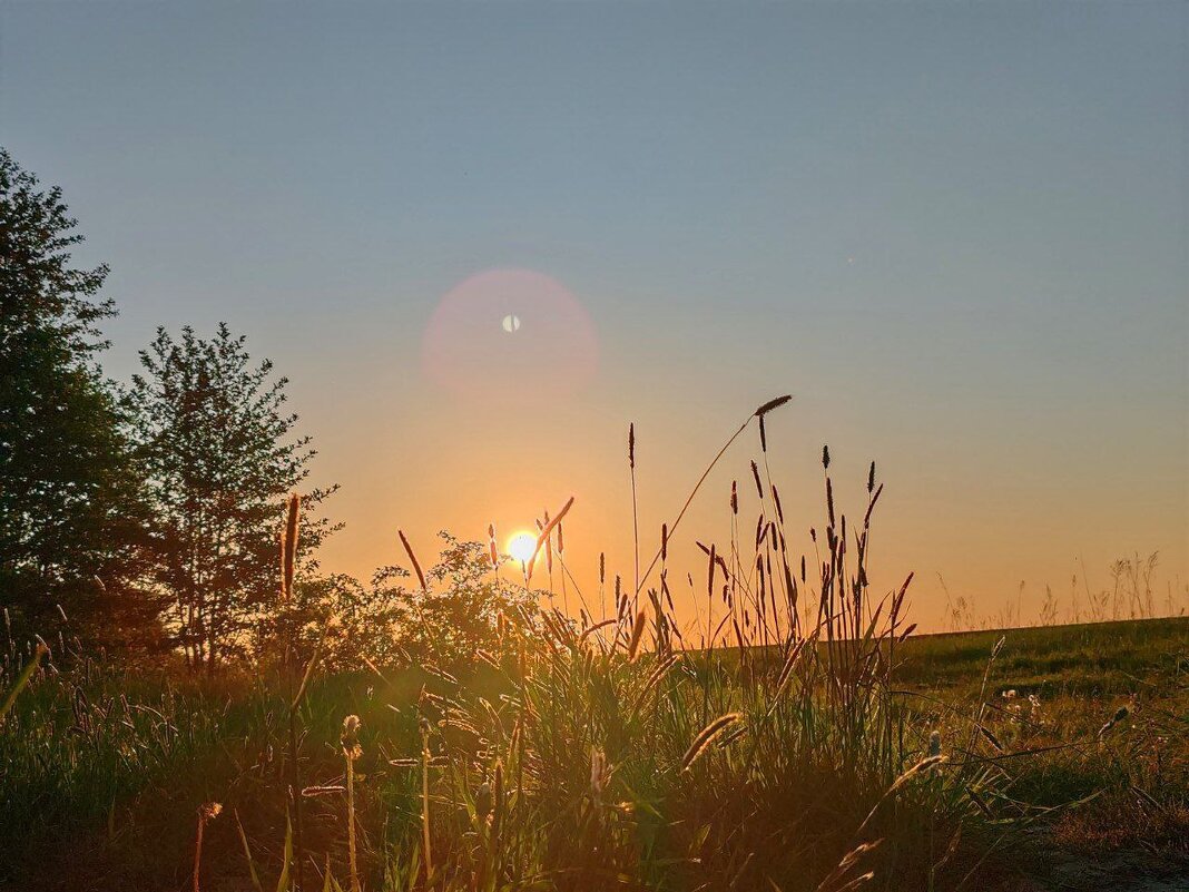 * - Татьяна Венцель