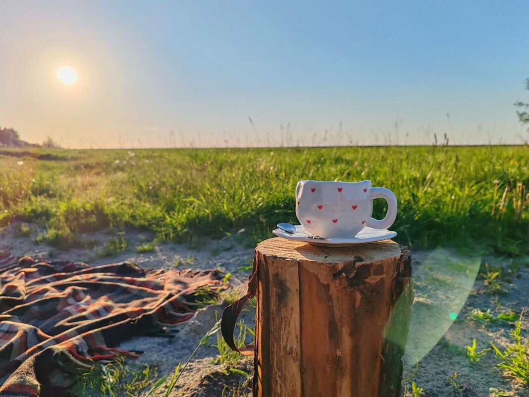 * - Татьяна Венцель