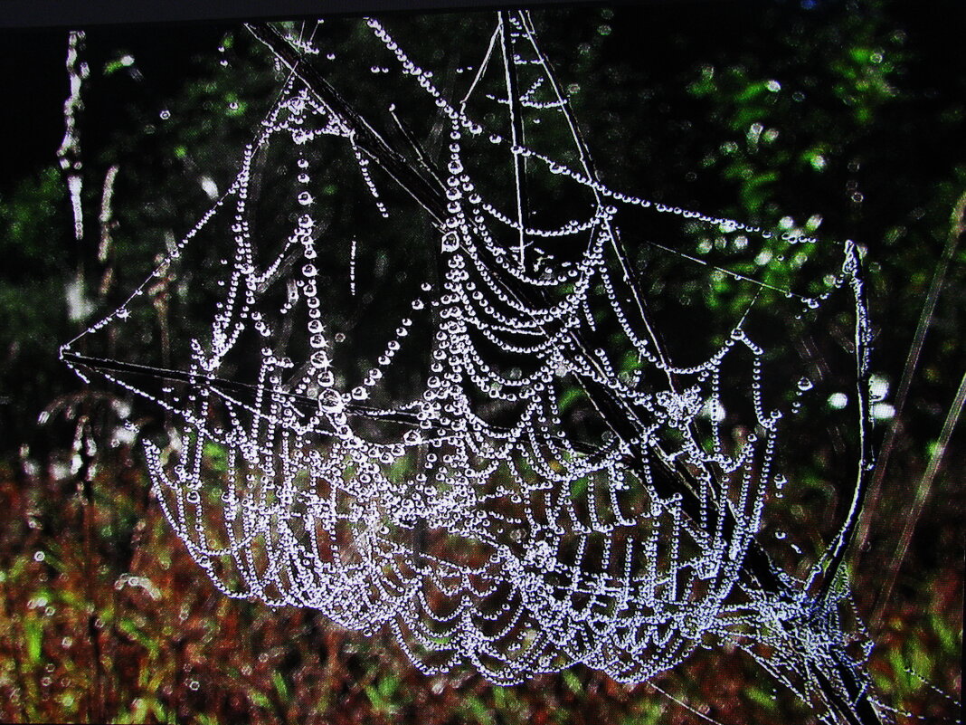 После дождя - Людмила Смородинская