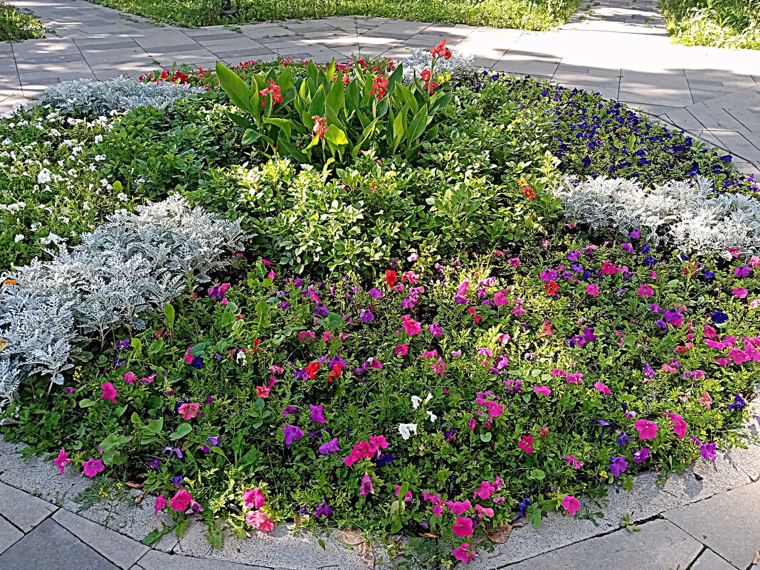 Цветы. - Владимир Драгунский