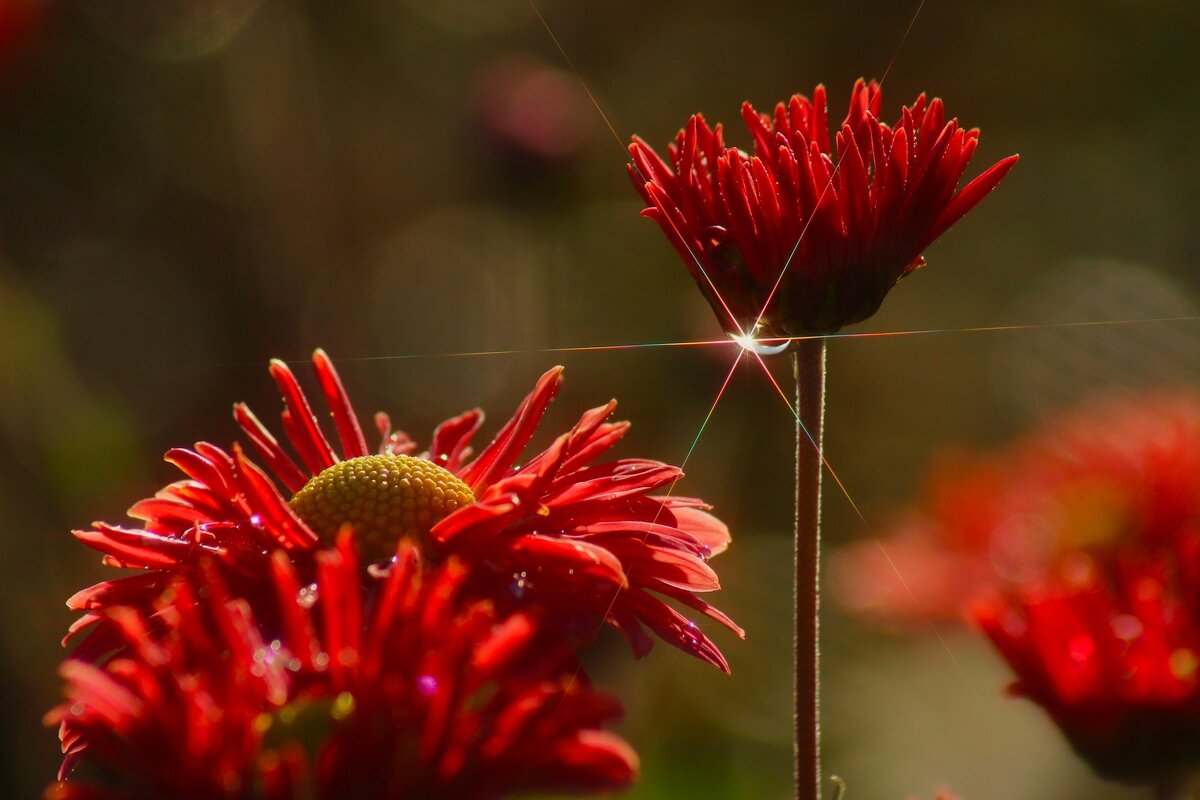 Доброе утро - Юрий. Шмаков
